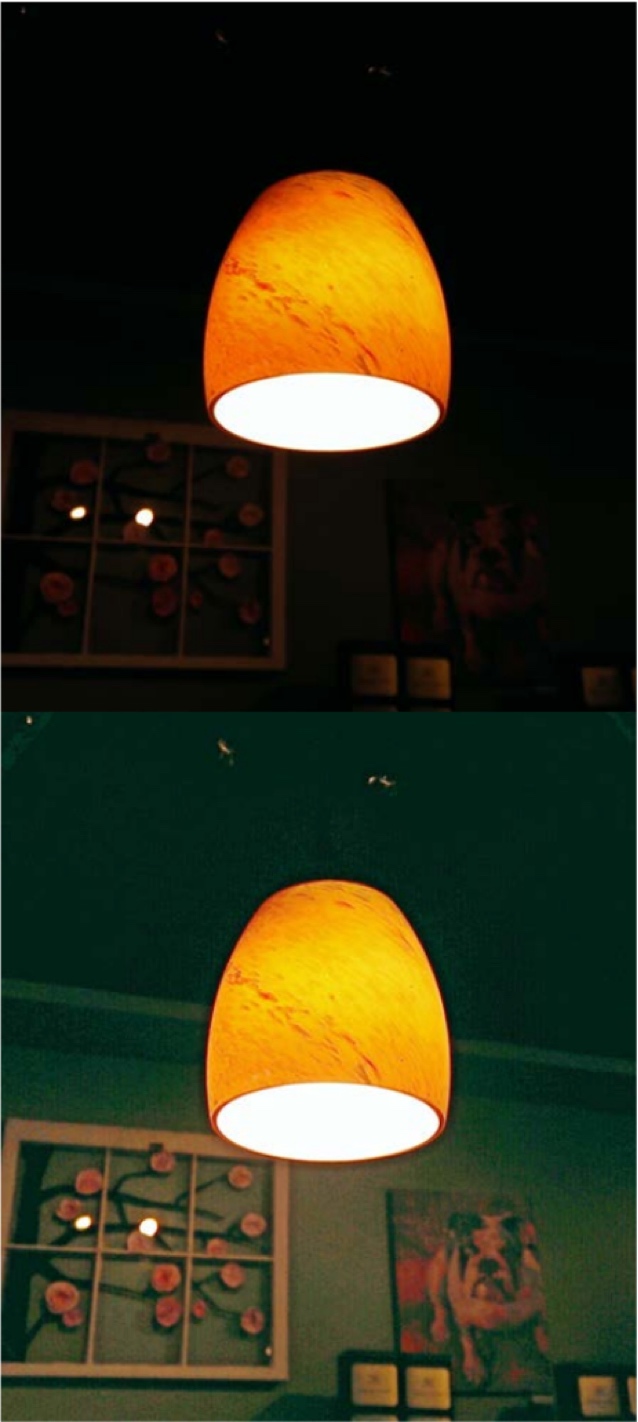 singan_bohemian